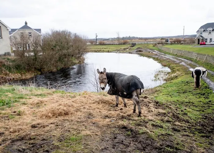 Fishermans Stunning Two Bedroom With Views Close To Town Prázdninový dům Bundoran